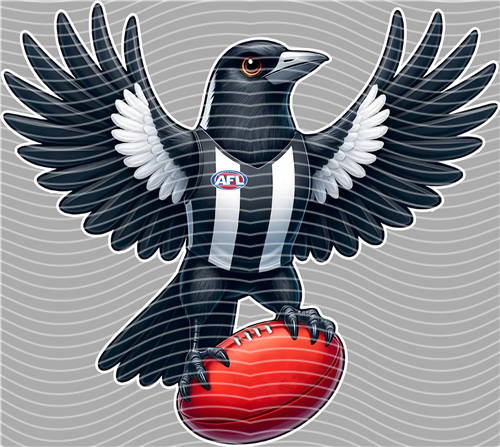 NBA and Team-QD 1370